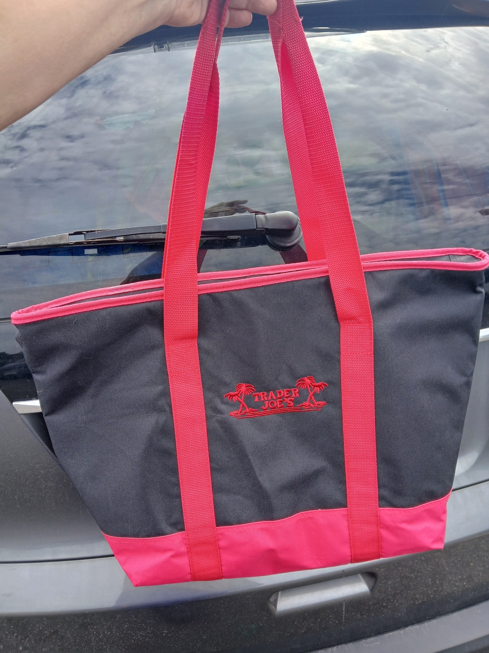 Trader Joe's Cooler Tote Red Black